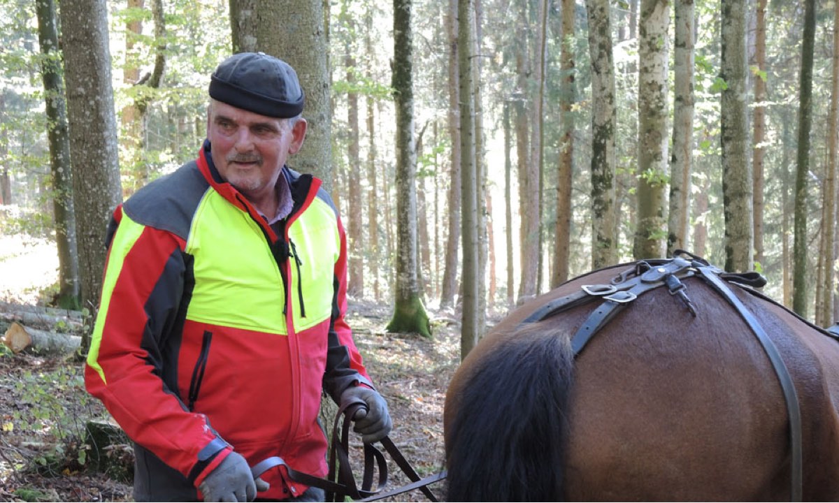 L’HOMME ET LA FORÊT un film de Claude Schauli